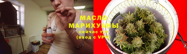 сатива Заводоуковск