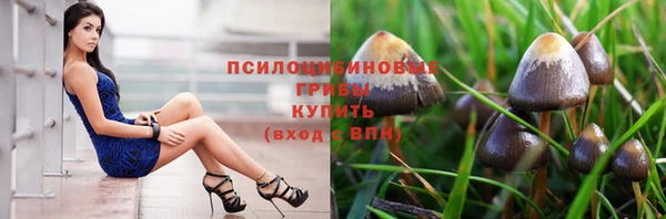 амф Зерноград