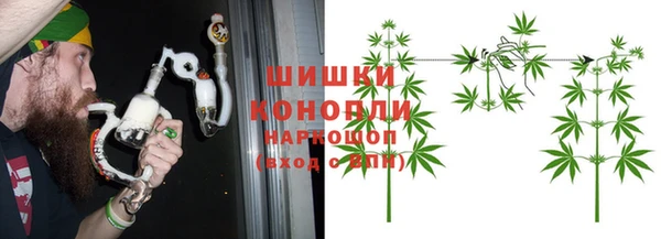 ГАЛЛЮЦИНОГЕННЫЕ ГРИБЫ Зеленокумск