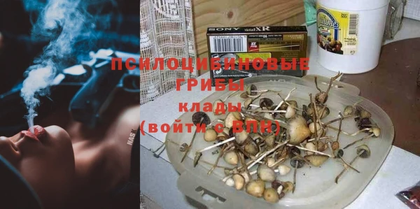 стафф Зеленодольск