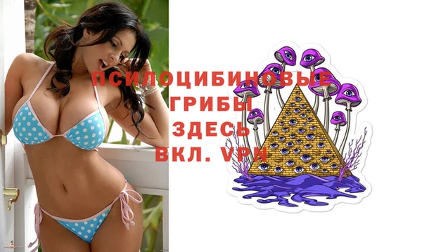 стафф Зеленодольск