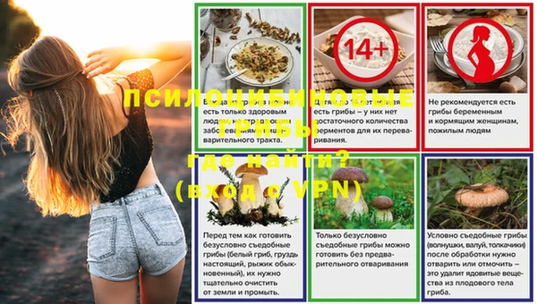 индика Иннополис