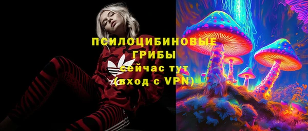 ГАЛЛЮЦИНОГЕННЫЕ ГРИБЫ Зеленокумск
